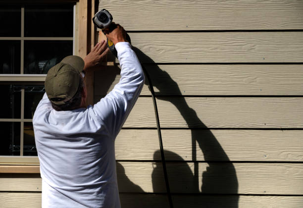 Best Custom Trim and Detailing for Siding  in Homewood, AL